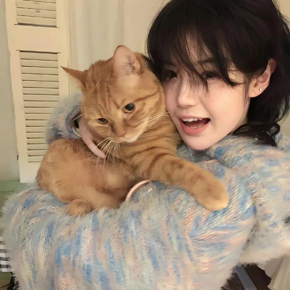 五十公里桃花坞3